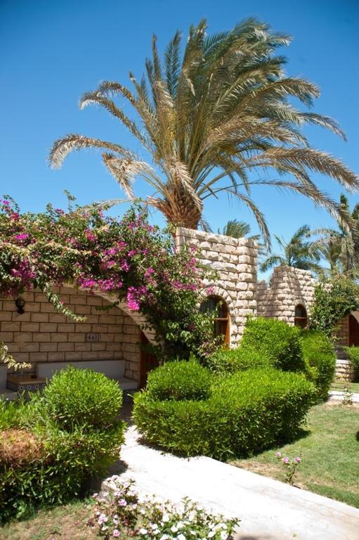 Jasmine Village Hurgada Dış mekan fotoğraf